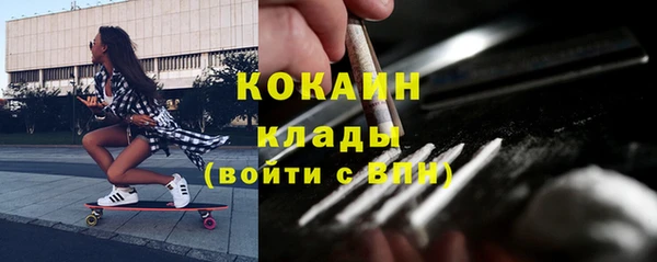 ПСИЛОЦИБИНОВЫЕ ГРИБЫ Каменка