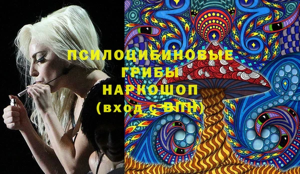 шишки Касимов