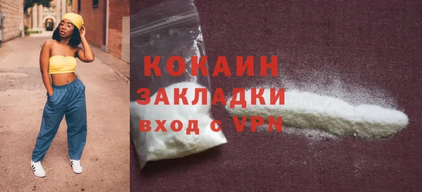шишки Касимов