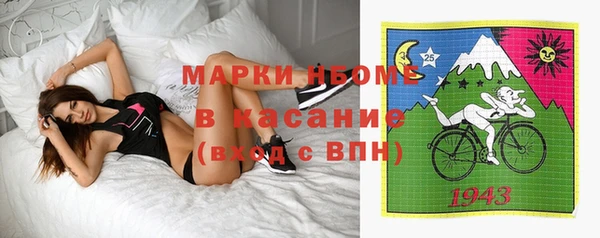 шишки Касимов