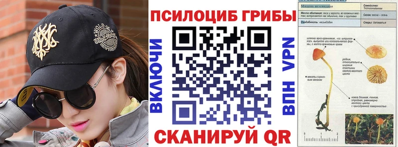 Галлюциногенные грибы GOLDEN TEACHER  наркотики  ссылка на мегу ONION  Спасск 